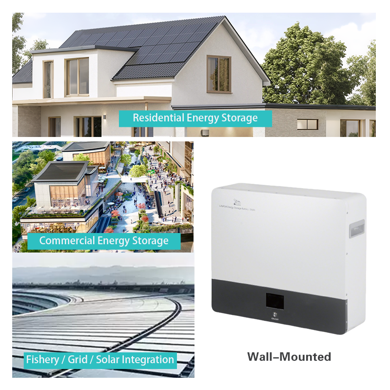 Plug-and-Play 5kWh Wall-Mounted Storage Battery Energy 16S1P Inverter Protocol Selectable LiFePO4 for Household Peak Shaving