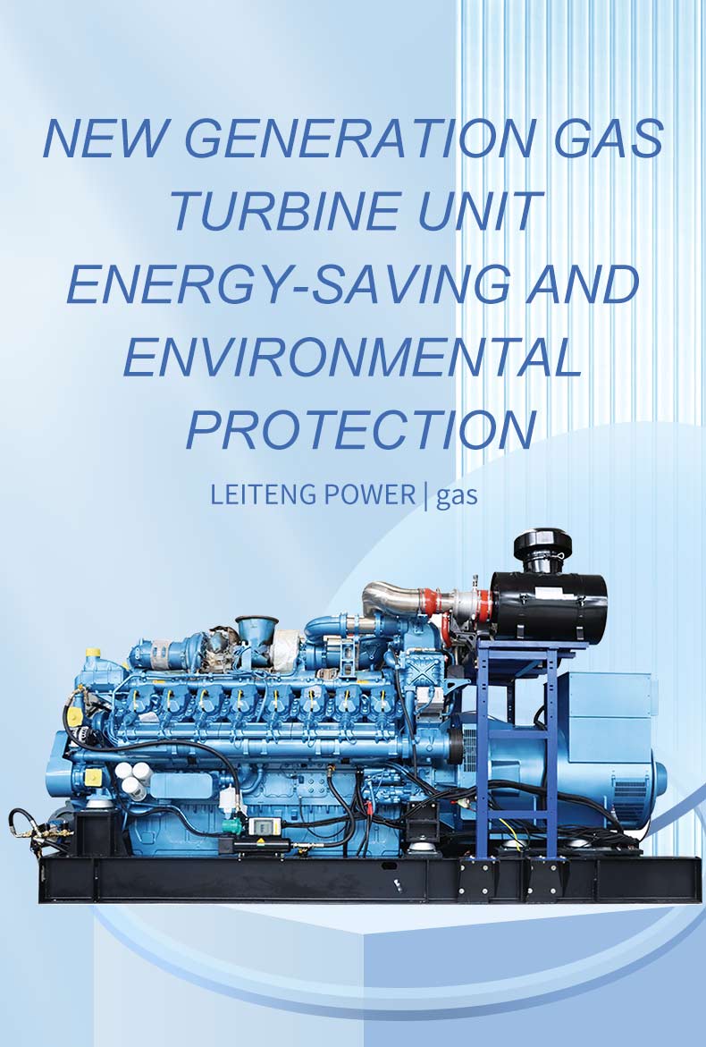 Natural Gas Generator