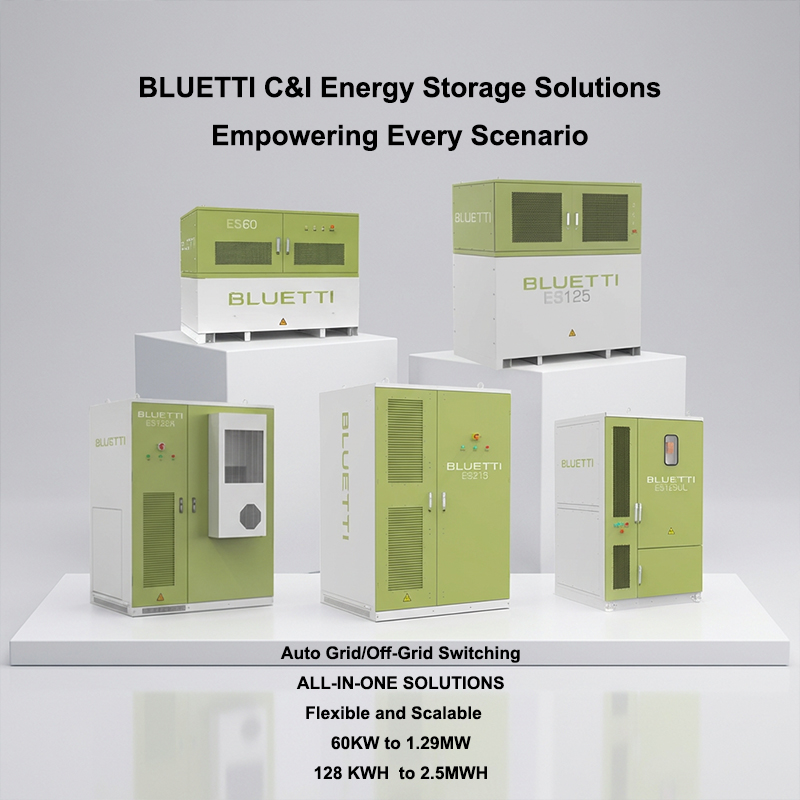 Microgrid Energy Storage Business for Scalable BESS LiFePO4 8000 Cycles Liquid/Air Cooling Renewable Energy Integration
