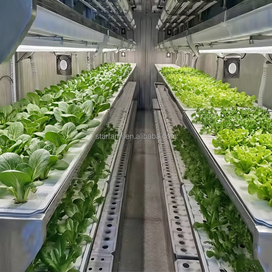 ISO Approved Indoor Vertical Steel Frame Container Farm Full Spectrum LED Grow Lights Hydroponics/Aeroponics For Large-Scale