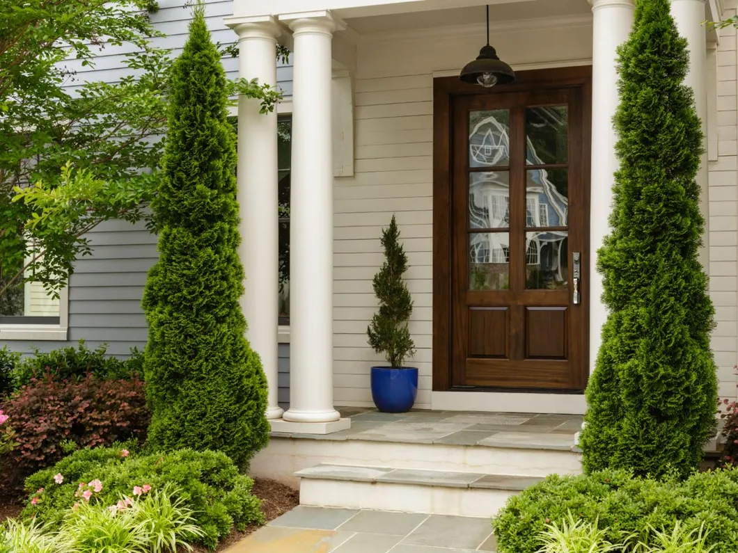 Modern Mahogany Wood Door