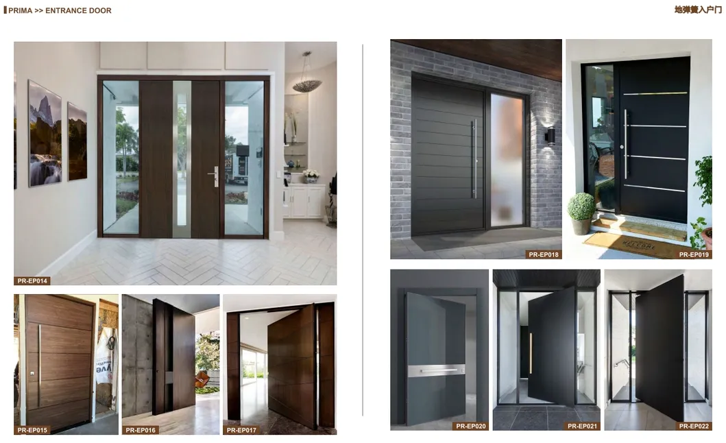 Entrance Door 2