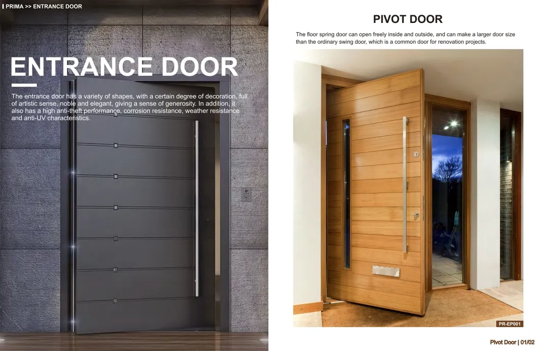 Entrance Door 1