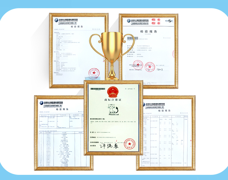 Company Certifications