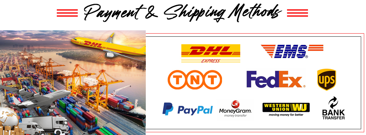 Payment and Shipping Banner