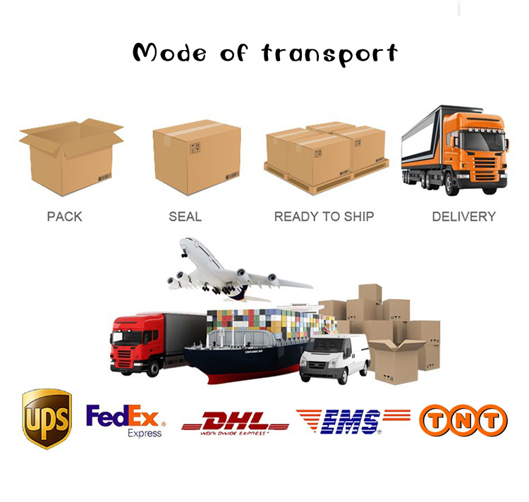 Fast Shipping and Packaging Logistics