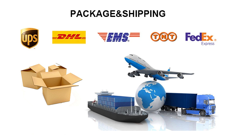 Shipping Terms Details