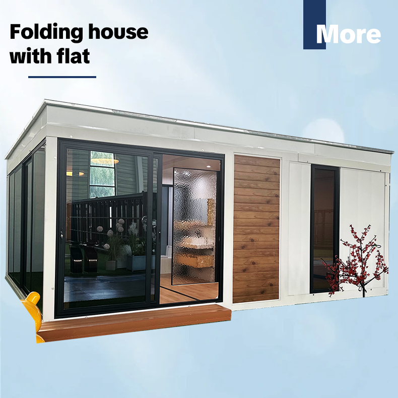 Extension House Design Variant E