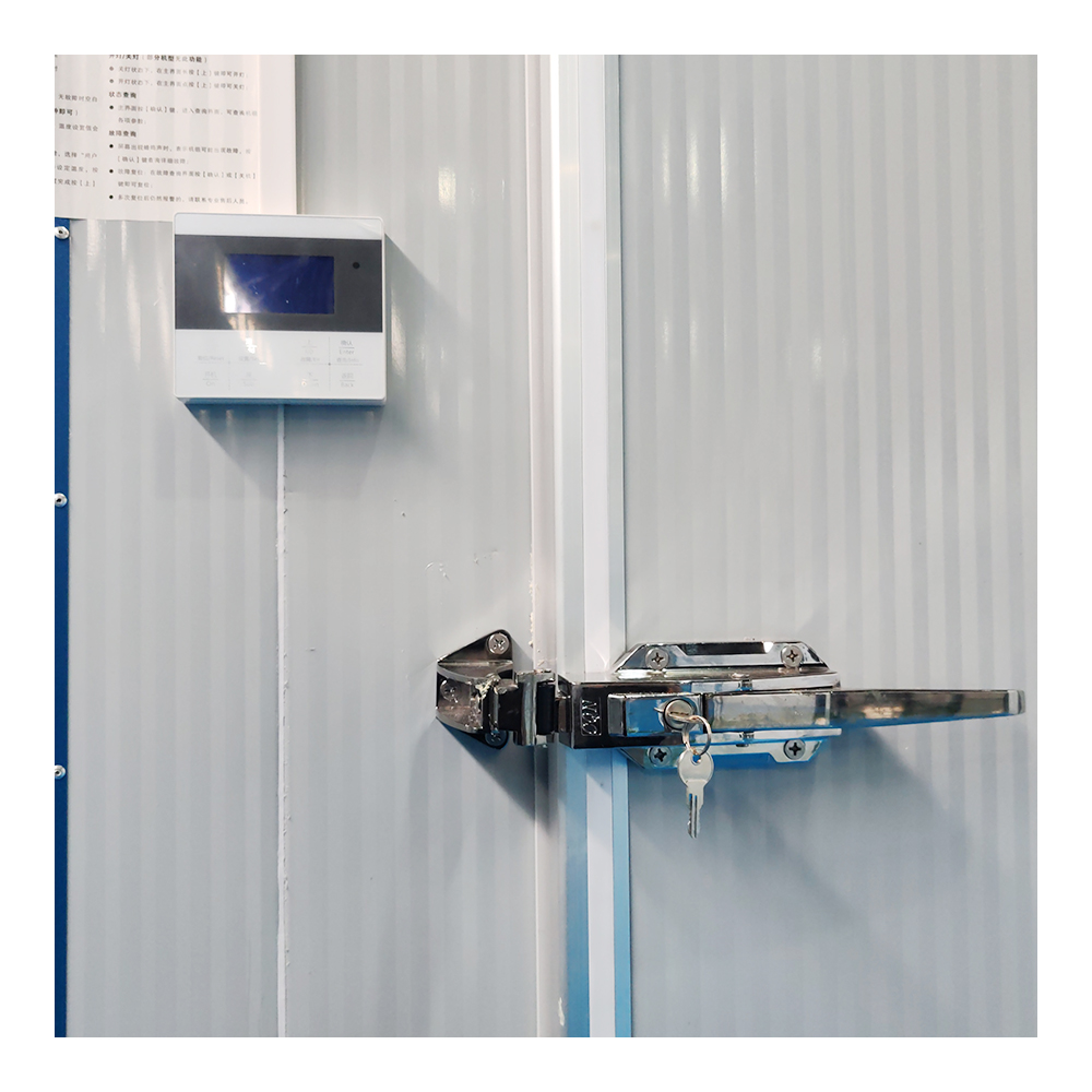 Expandable Container Portable Mini Cold Room Compact Modern Design Steel Sandwich Panel Construction Plug-and-Play Solution