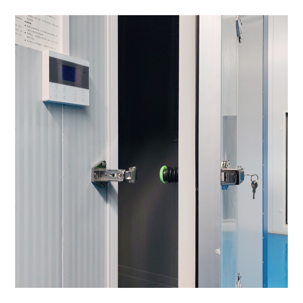 Expandable Container Portable Mini Cold Room Compact Modern Design Steel Sandwich Panel Construction Plug-and-Play Solution
