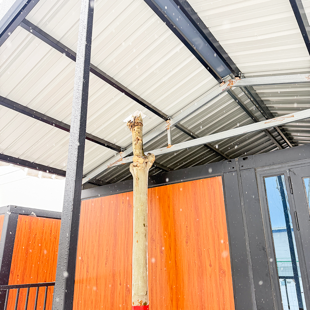 Rental Ready 20ft 40ft Fully Furnished Expandable Container Home for Short Term Lease Apartment Waterproof Home Office Villa