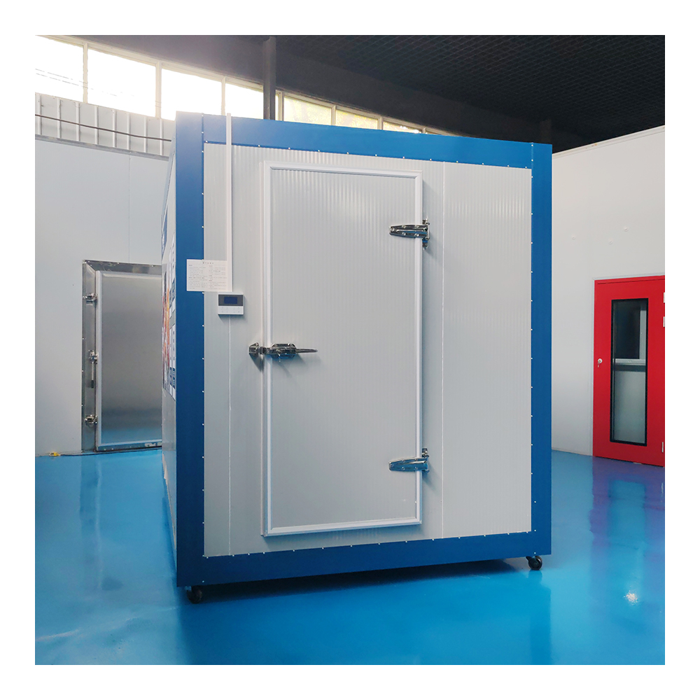 Expandable Container Portable Mini Cold Room Compact Modern Design Steel Sandwich Panel Construction Plug-and-Play Solution