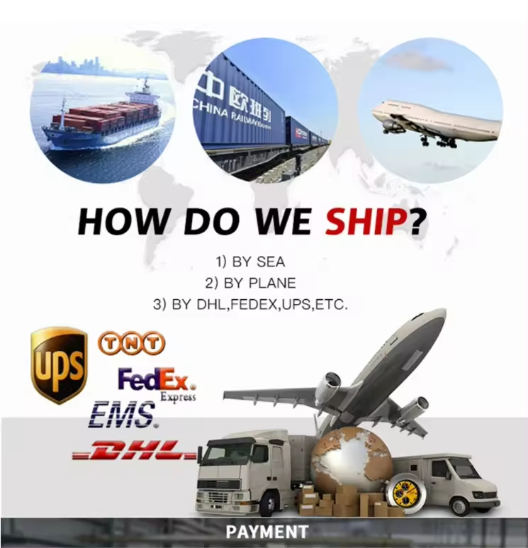 Packaging and Delivery Standard Layout