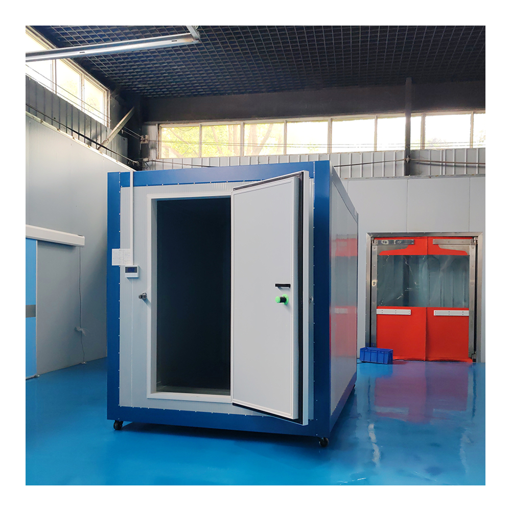 Expandable Container Portable Mini Cold Room Compact Modern Design Steel Sandwich Panel Construction Plug-and-Play Solution