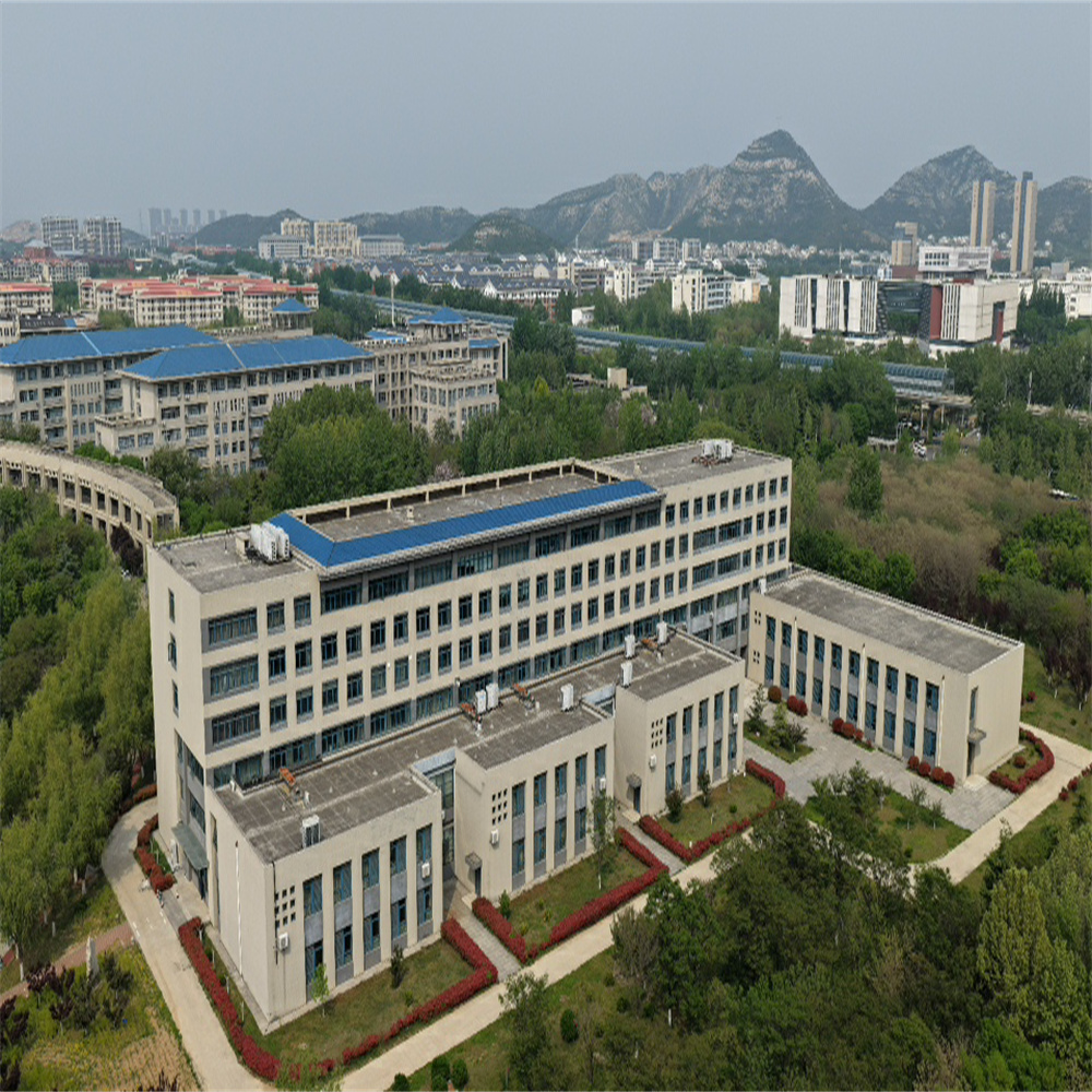 Prefab Modern Steel Frame Hotel Apartment Building Structure For Multi-Floor Architecture Architectural Flexibility Fast
