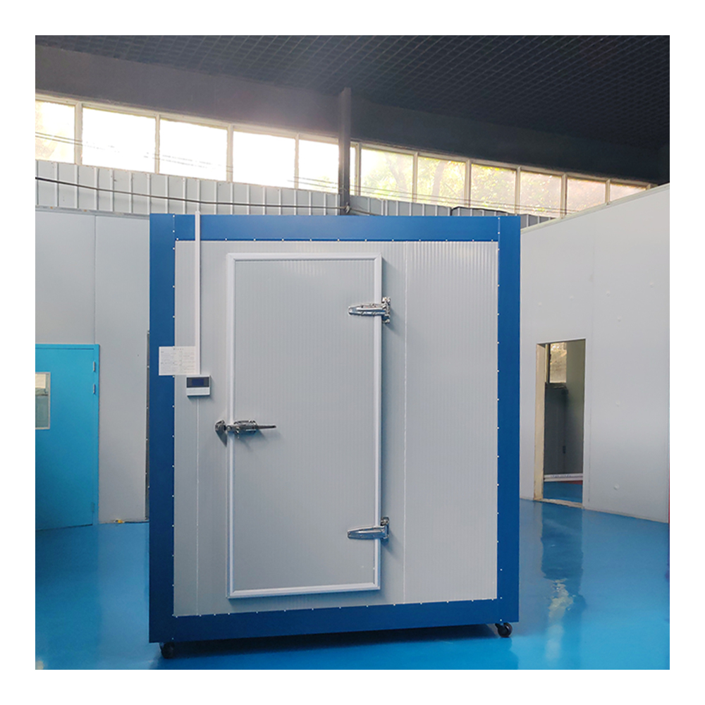 Expandable Container Portable Mini Cold Room Compact Modern Design Steel Sandwich Panel Construction Plug-and-Play Solution