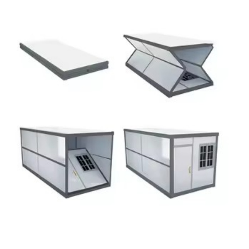 Post-Disaster Reconstruction, Refugee Resettlement, Infrastructure, Temporary Housing