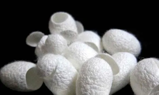 Mascarilla de Seda