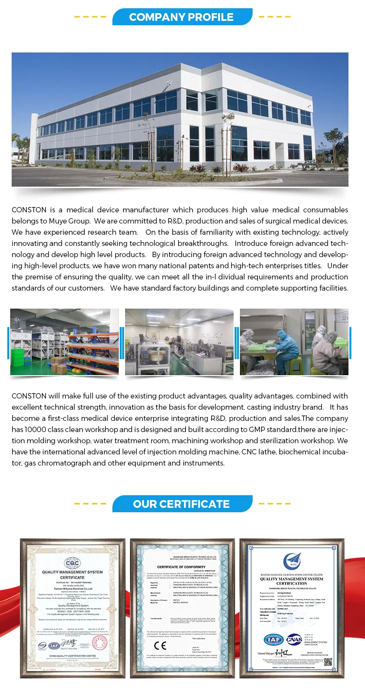 Company Profile View