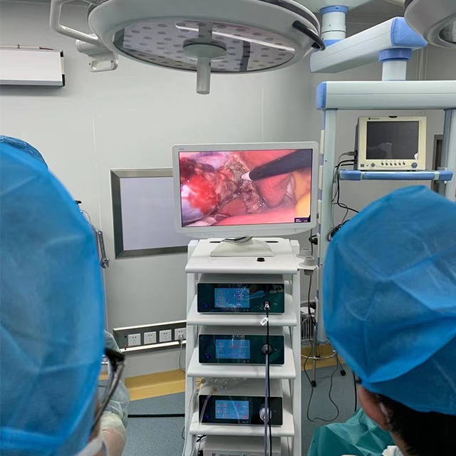 Surgical Laparoscopic Endoscopic CO2 Insufflator for Abdominal Surgery