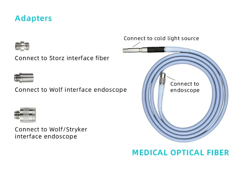 Endoscopic Light Source Application