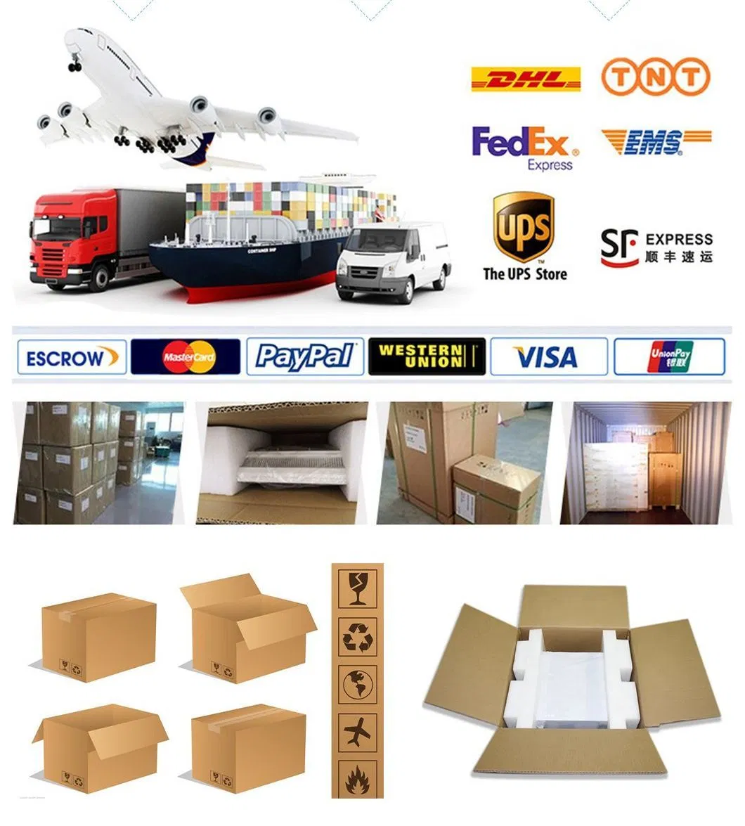 Smart Control Portable Medical Laparoscopic CO2 Insufflator