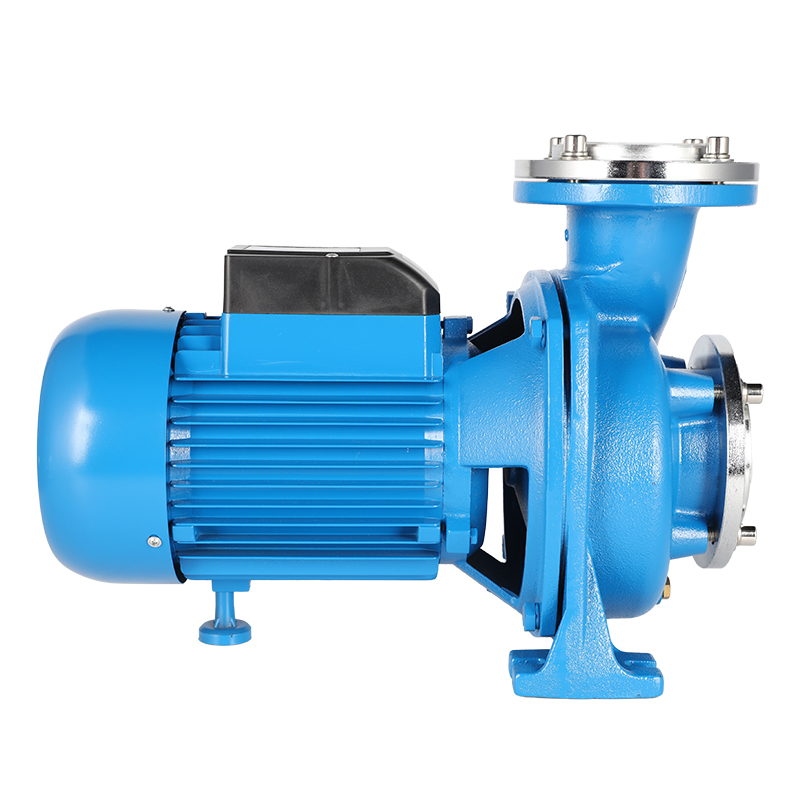 New Design Garden Irrigation Suction Cast Iron Household Centrifugal Pump with CE