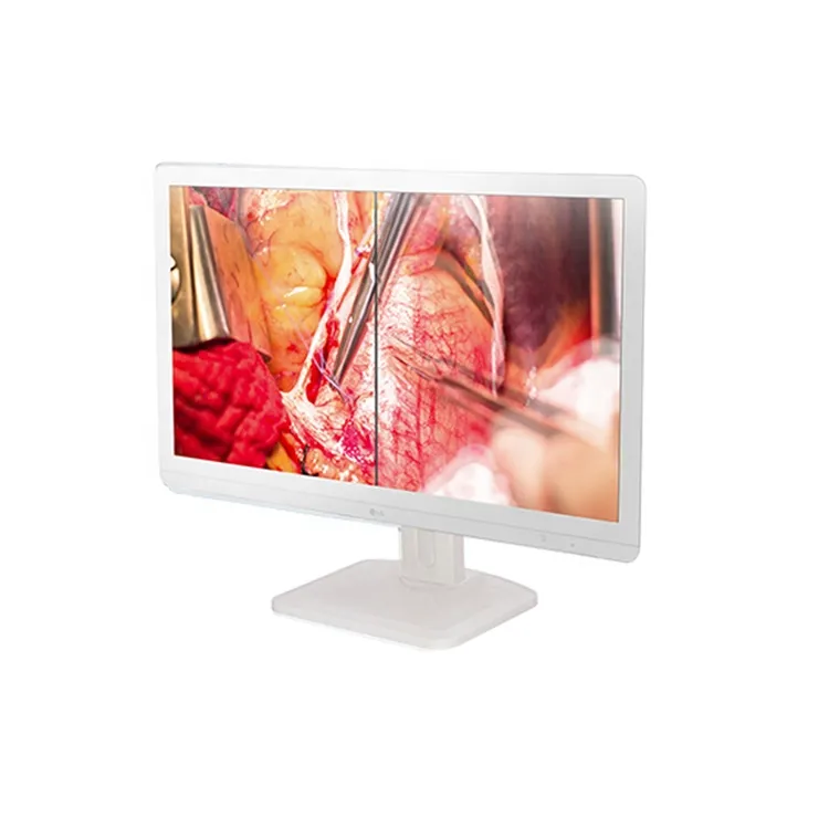 24-Inch Monitor View