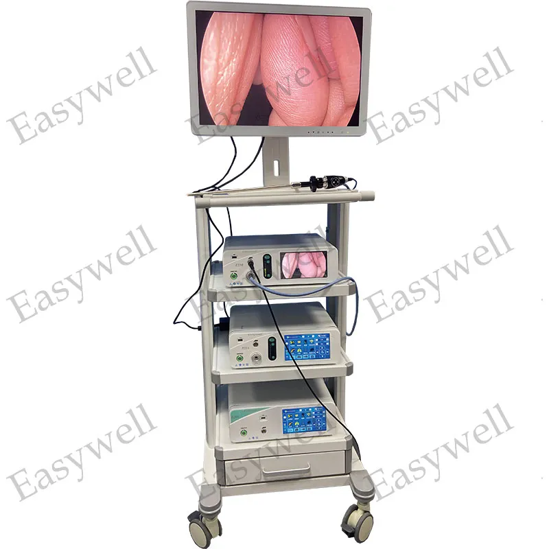 System with trolley 2