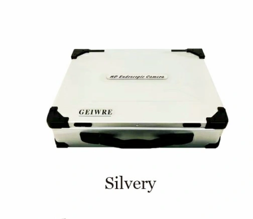 Cold Light Source for Endoscopic Imaging