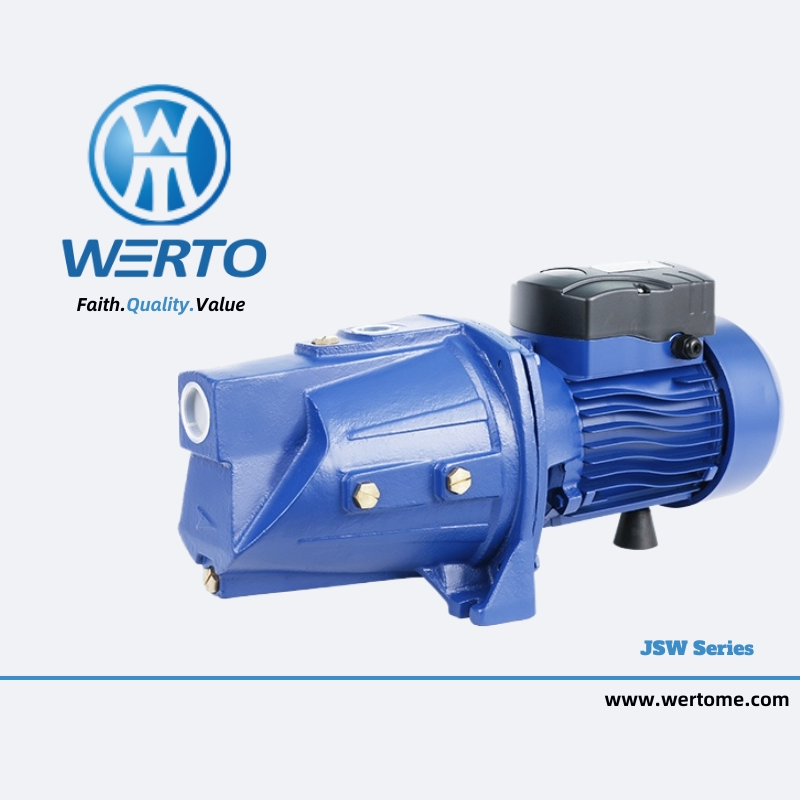 High Suction Lift Self-Priming Water Pump Jet Pump for Irrigation System