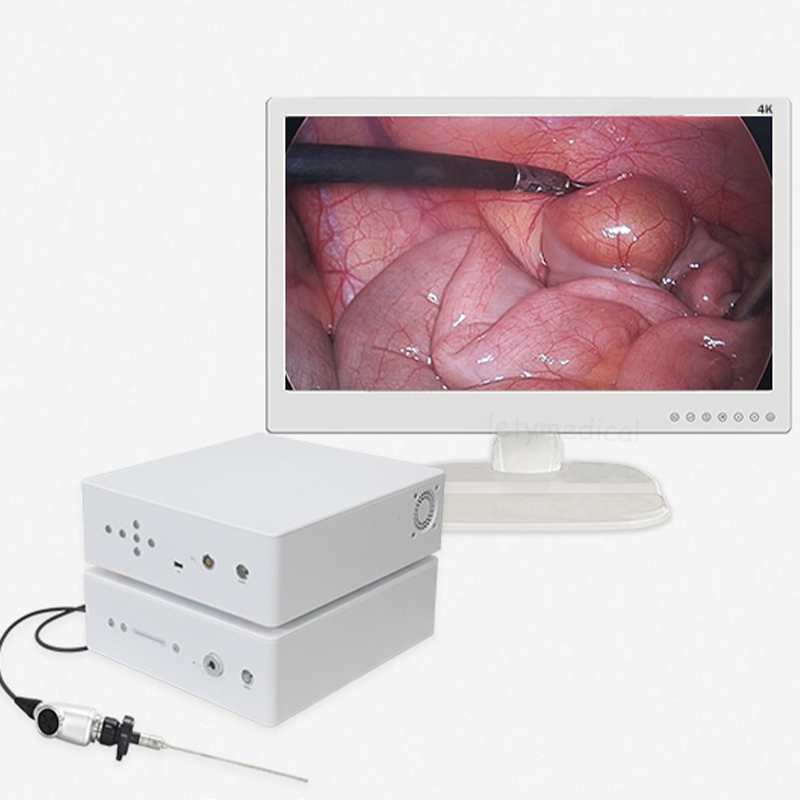 Endoscope Light Source Medical Endoscopic Camera System