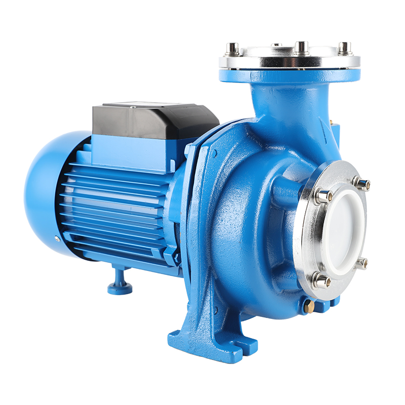 New Design Garden Irrigation Suction Cast Iron Household Centrifugal Pump with CE