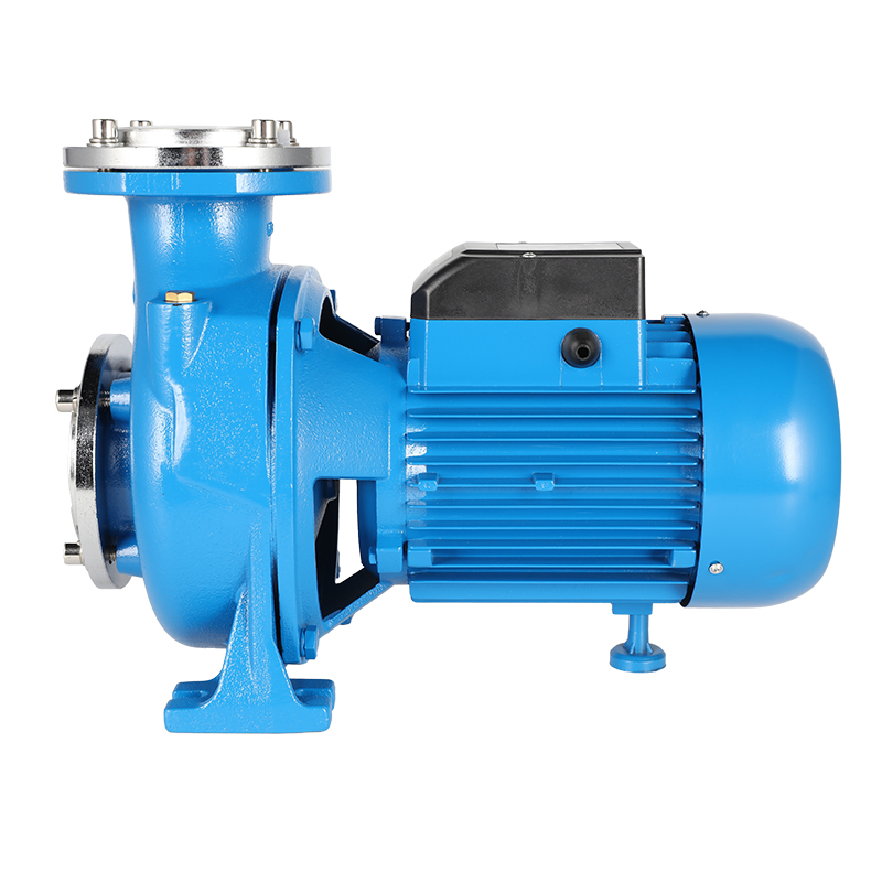 New Design Garden Irrigation Suction Cast Iron Household Centrifugal Pump with CE