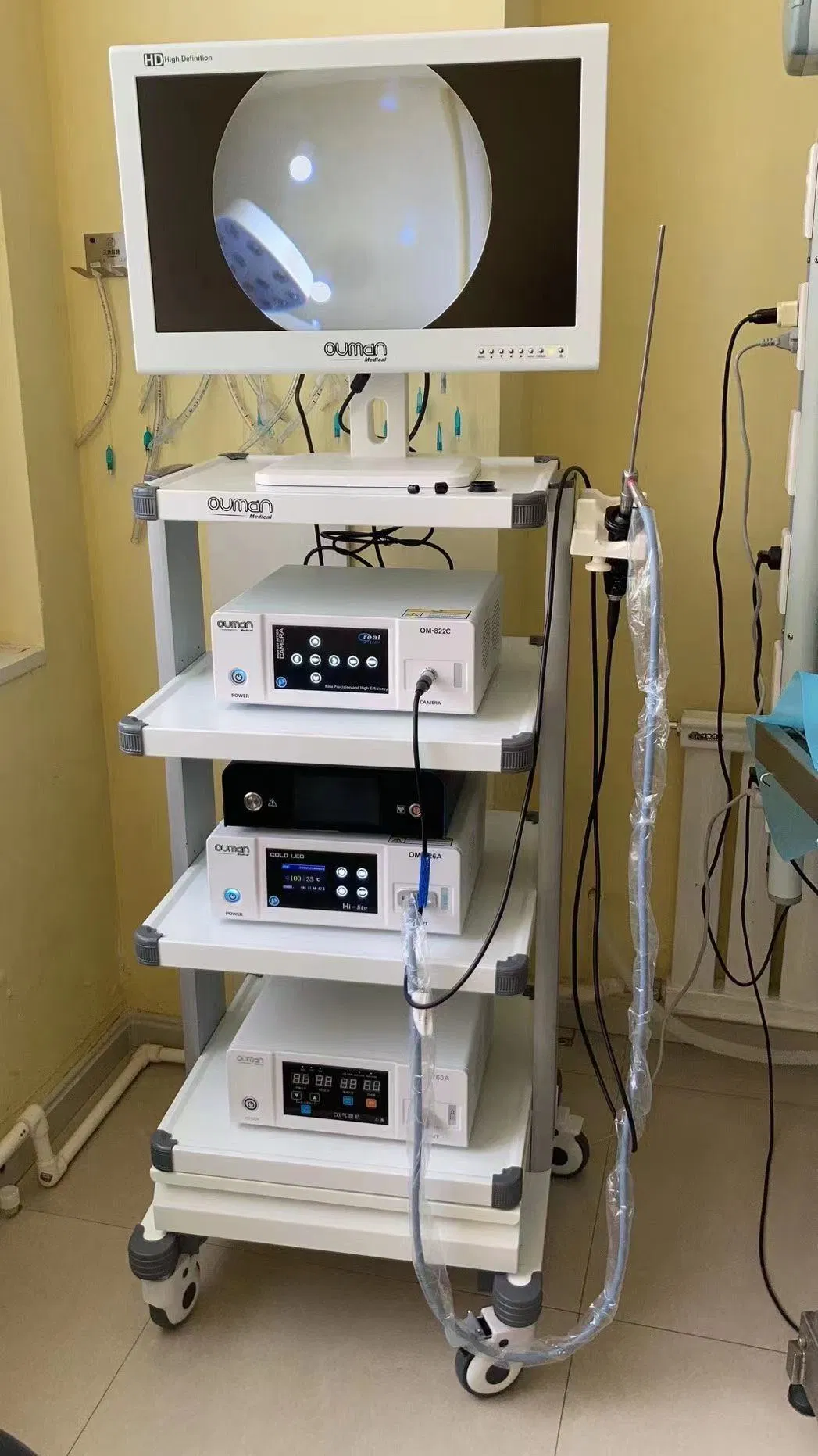 Medical Monitor Display