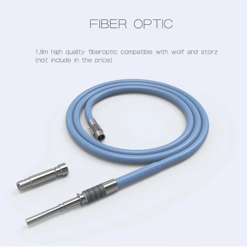 Cold Light Source Detail 3