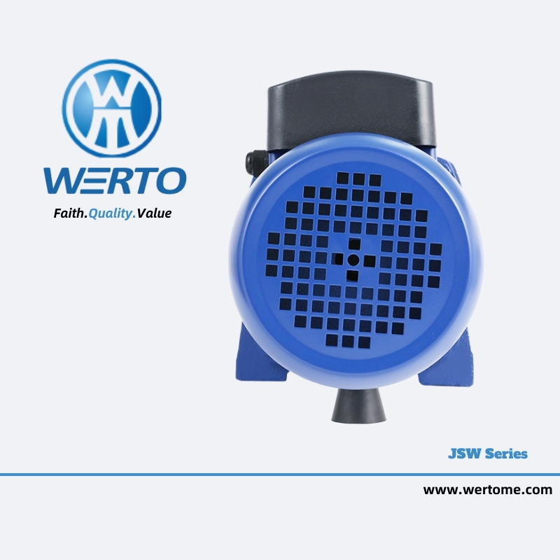 High Suction Lift Self-Priming Water Pump Jet Pump for Irrigation System