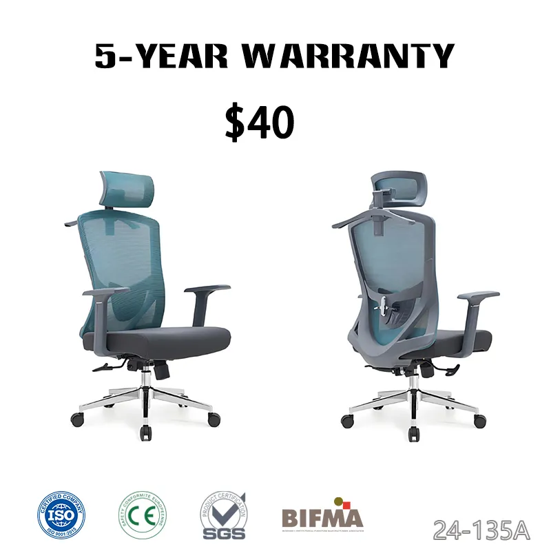 Variant 4