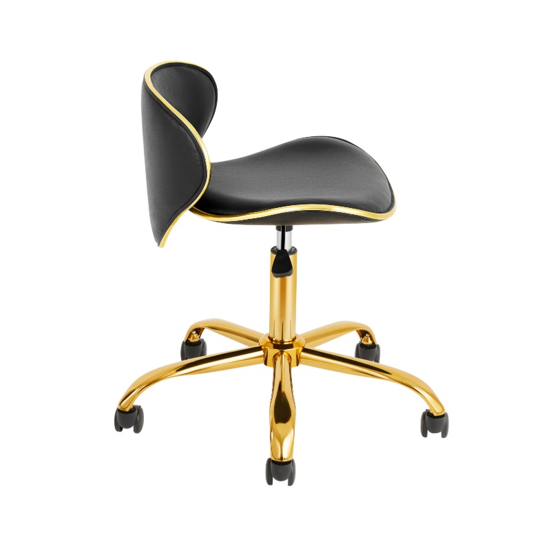Back Support