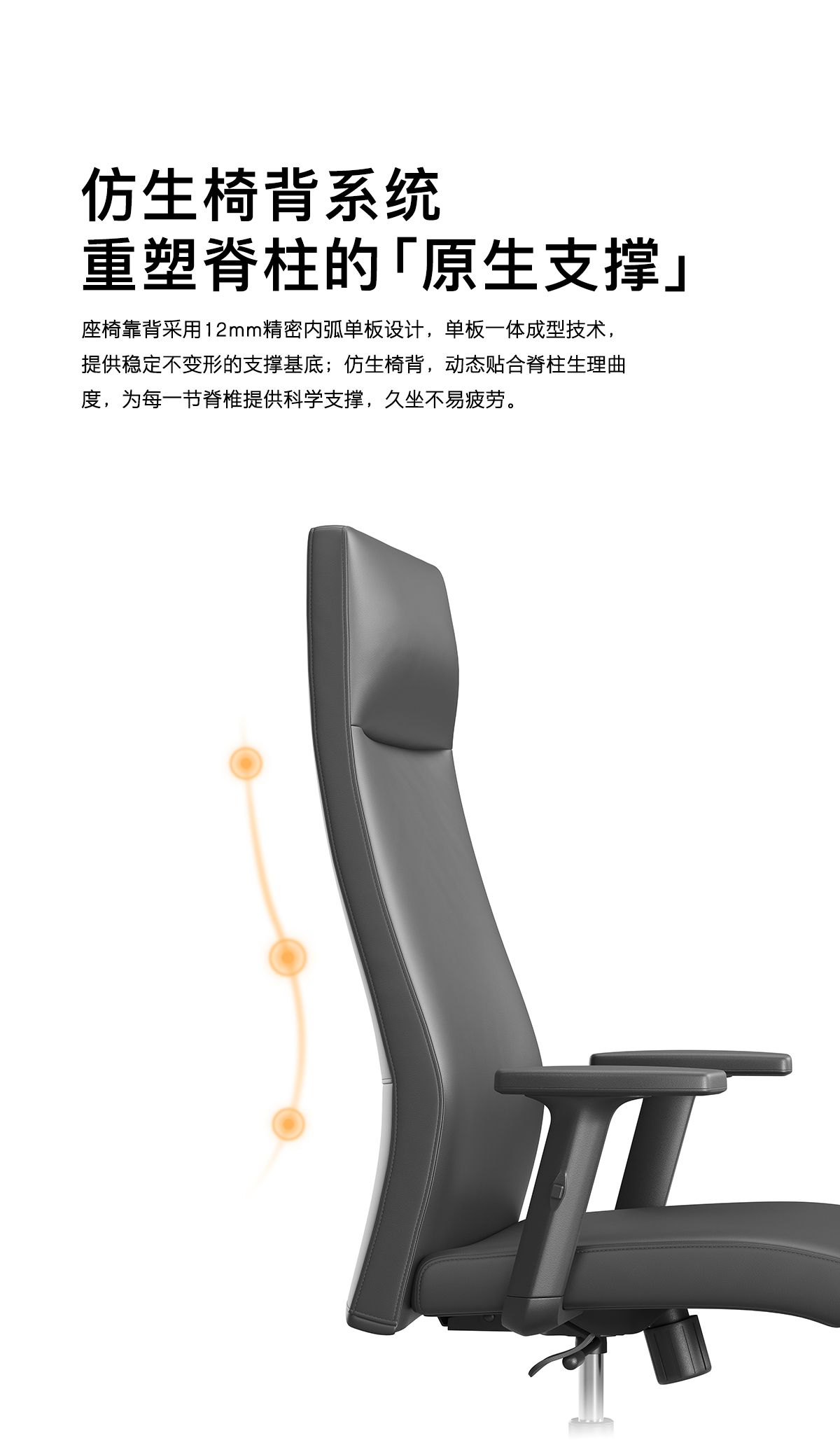 Seat Back
