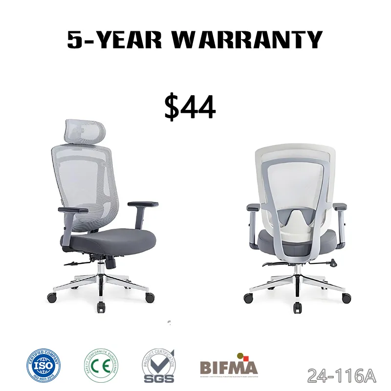Variant 5