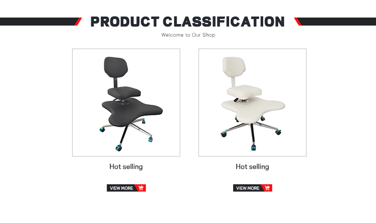 Classification