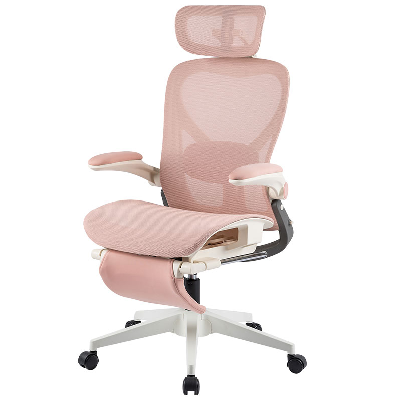 High Back Foldable Ergonomic Executive Mesh Luxury Reclining Office Chair With Footrest