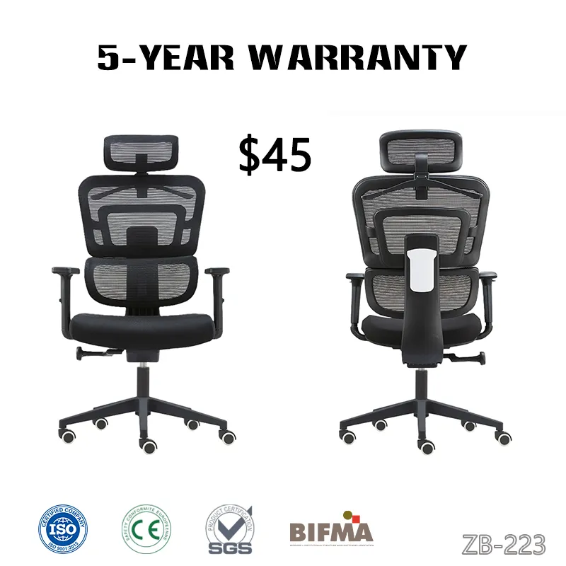 Modern Styling
