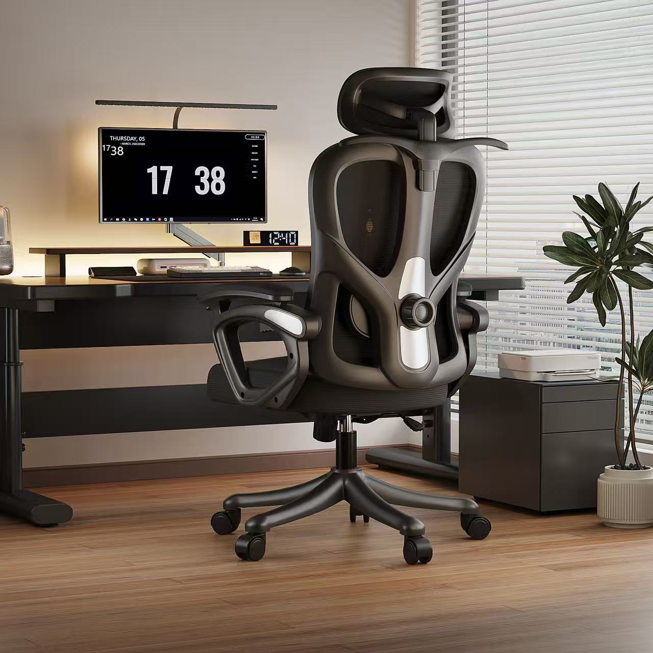 Ergonomic Chair Main View