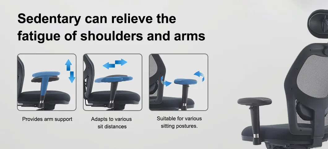 Back Support Structure