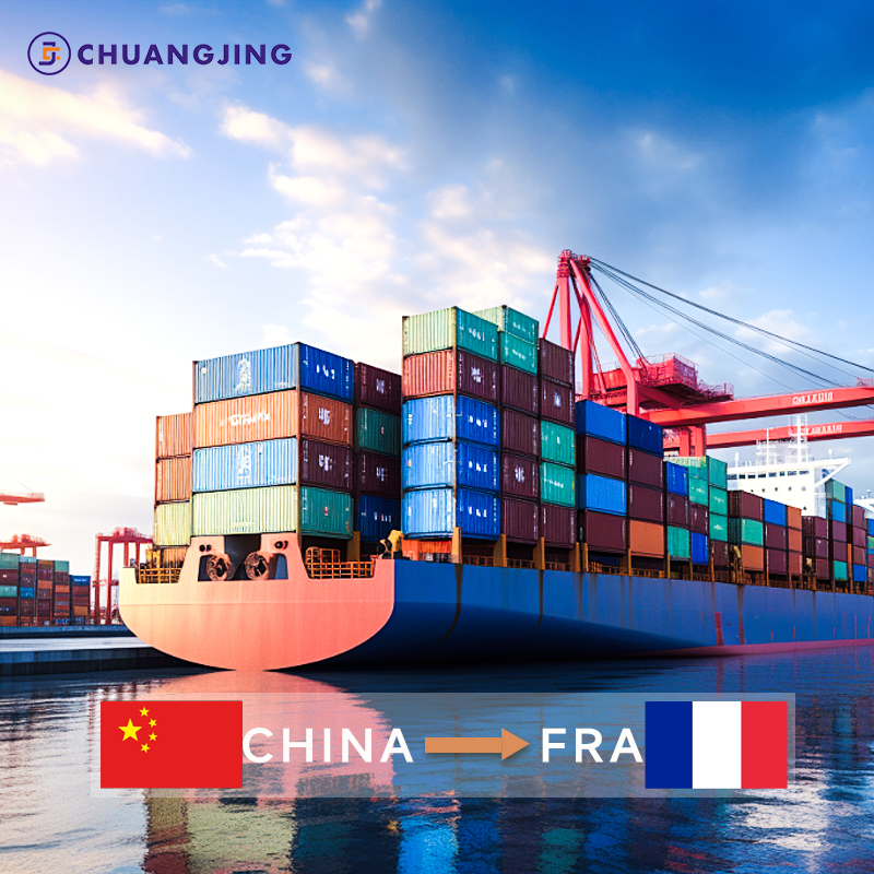 Logistics Forwarding Shipping Sea Services Shenzhen Warehouse Door to Door DDP Third Party Logistics Companies