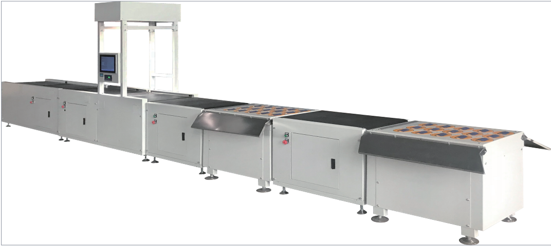 Weighing scanning and sorting assembly line