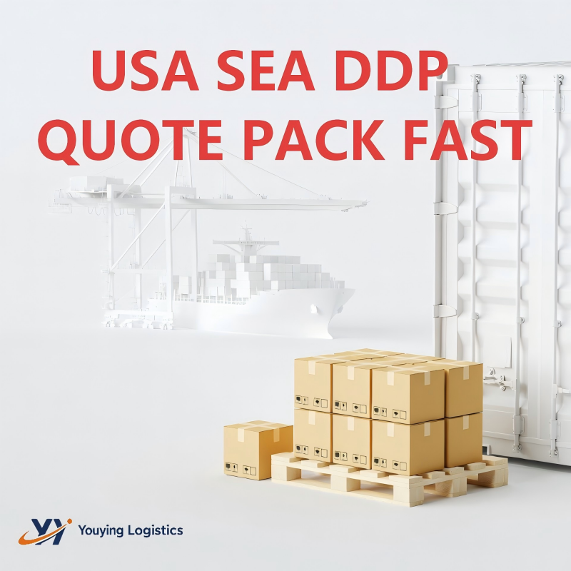 China to USA Sea Freight DDP Door to Door Shipping Agent Best Price Courier Last Mile Option Fast Quote
