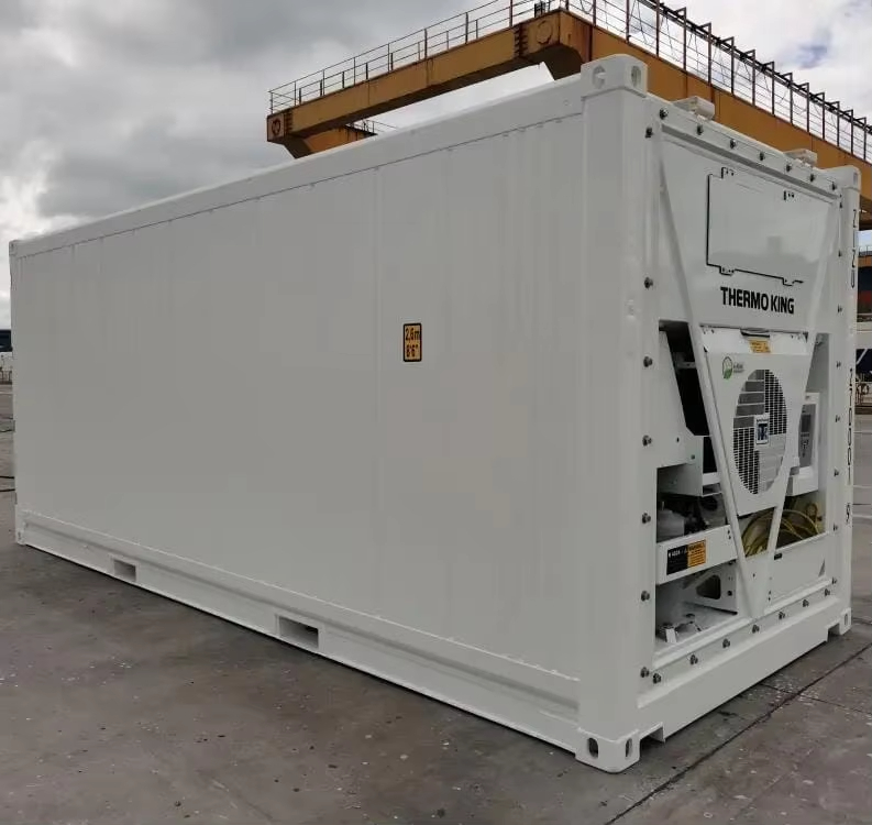 professional cold chain refrigerated container 20ft frozen transport constant temperature control